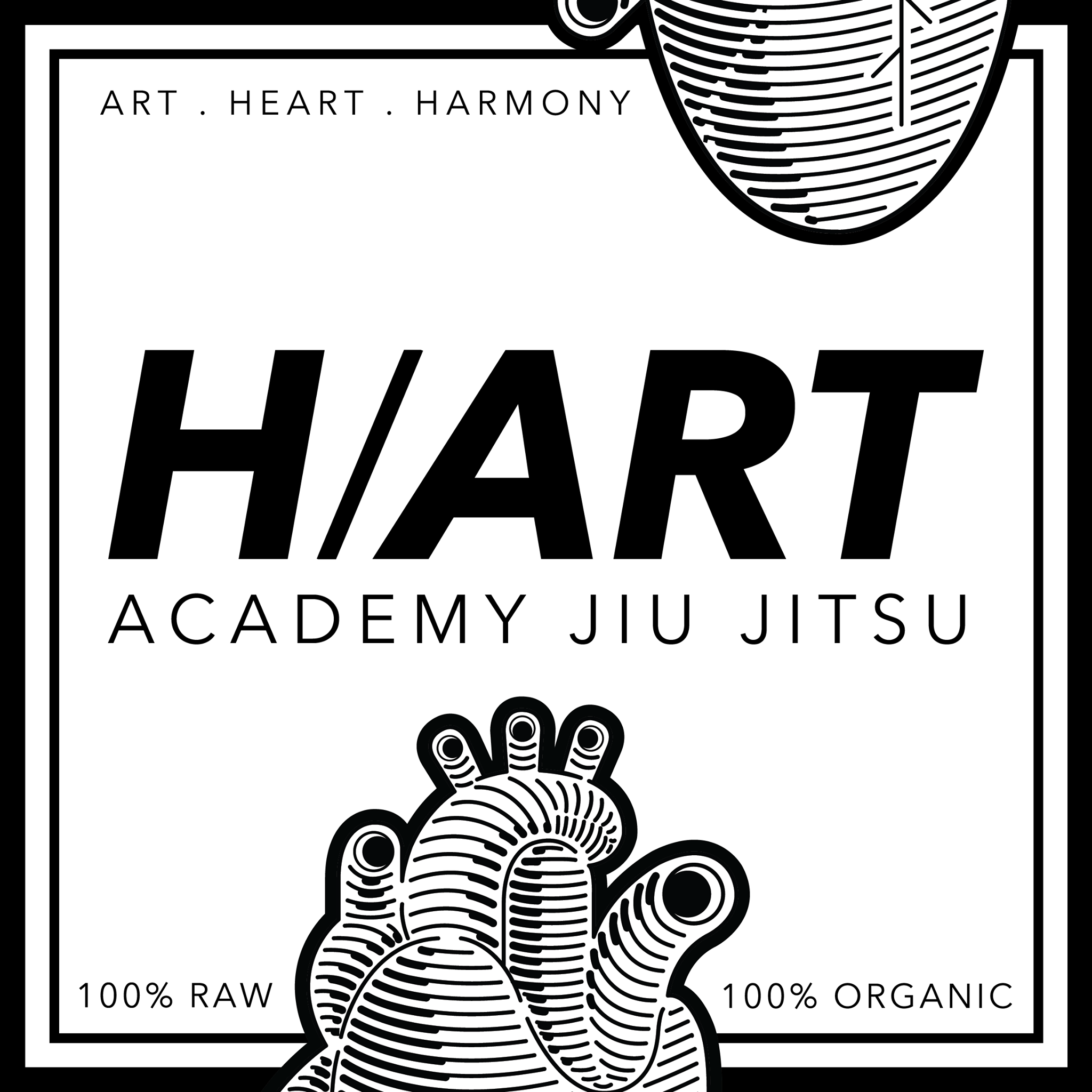 HArt Academy Jiu Jitsu